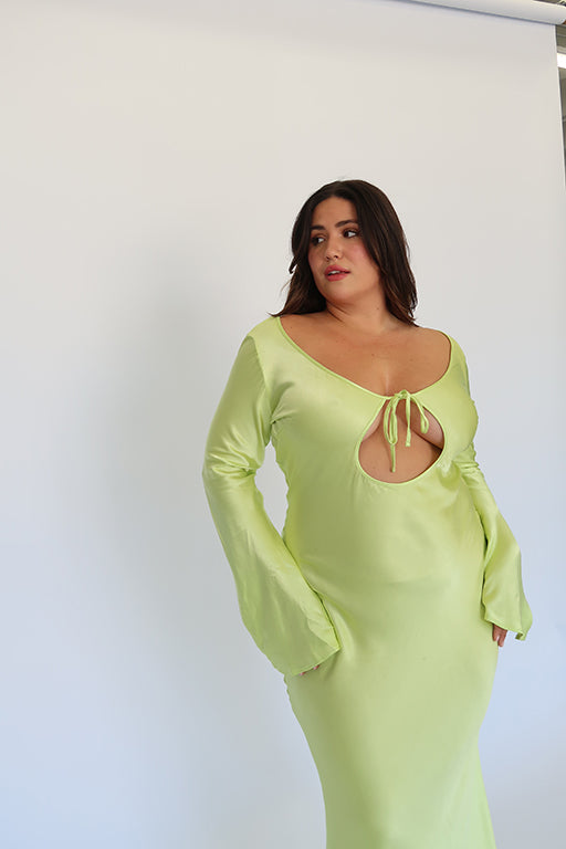 Plus Size Shimmy Dress