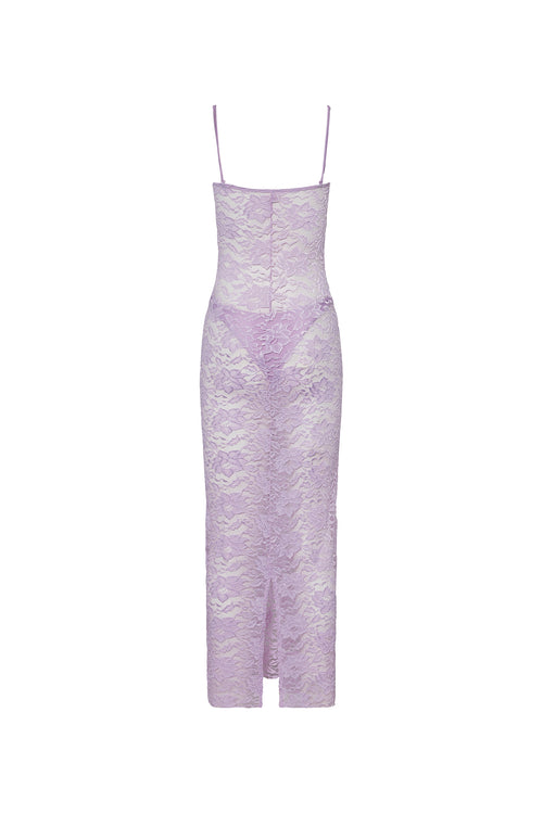 Garden Lace Dress
