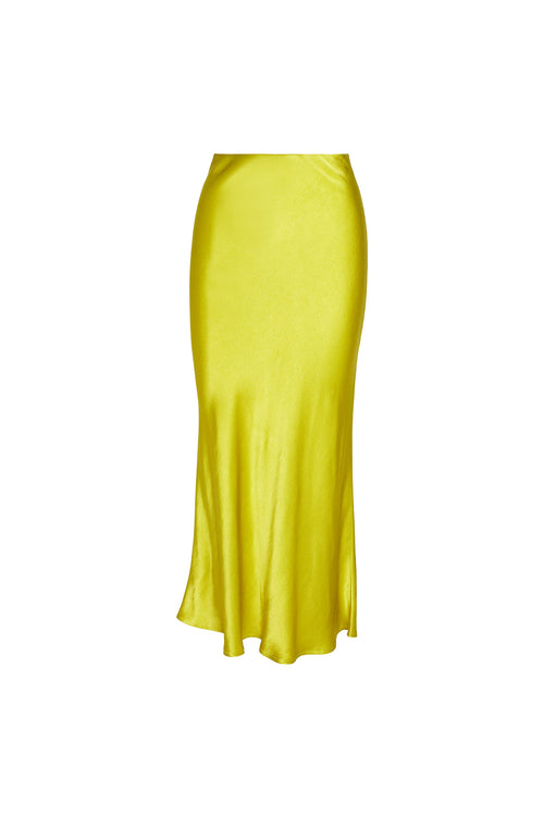 Shimmy Skirt 2