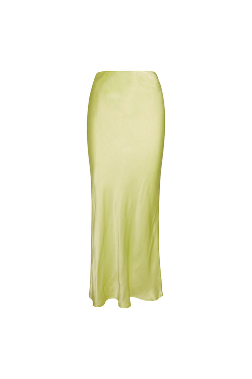 Shimmy Skirt 3